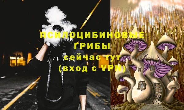 каннабис Белокуриха