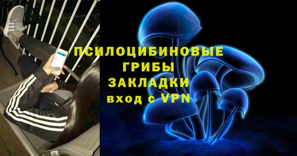 кокаин Богданович