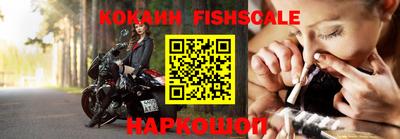 гашик Донской
