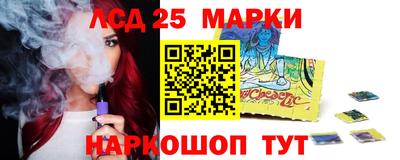 гашик Донской