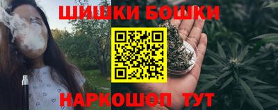 гашик Донской