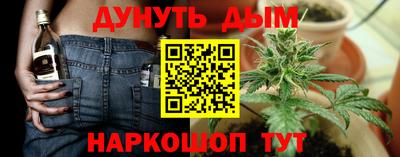 гашик Донской