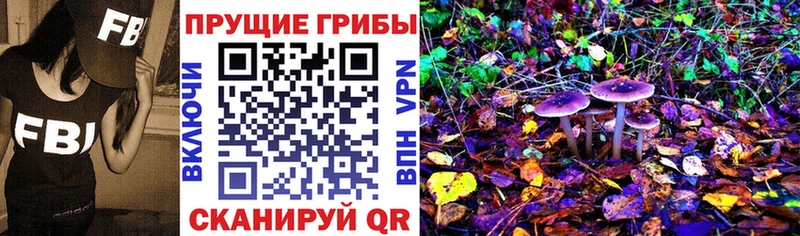 darknet клад  Малоярославец  Галлюциногенные грибы прущие грибы 