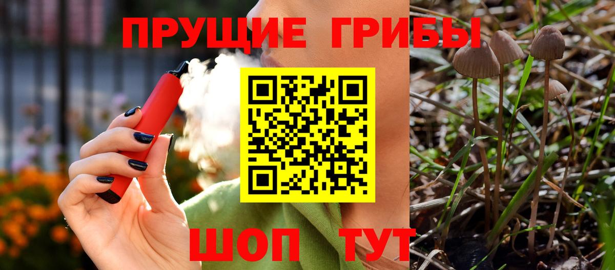 Псилоцибиновые грибы Cubensis  дарнет шоп  Малоярославец  Вход с VPN 